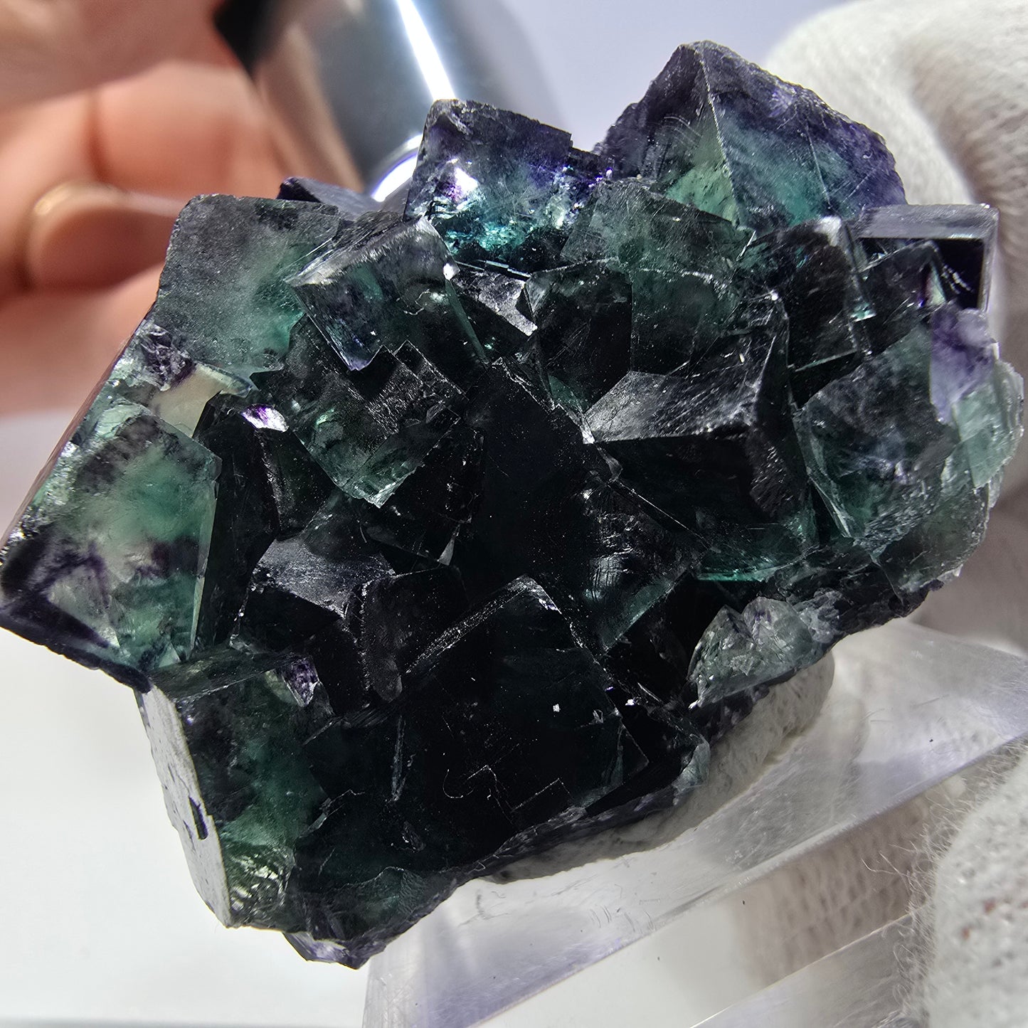 Spécimen de cube de fluorite fantôme transparente, vert-violet zonal, Okorusu, Namibie, 40 x 31 x 28 mm