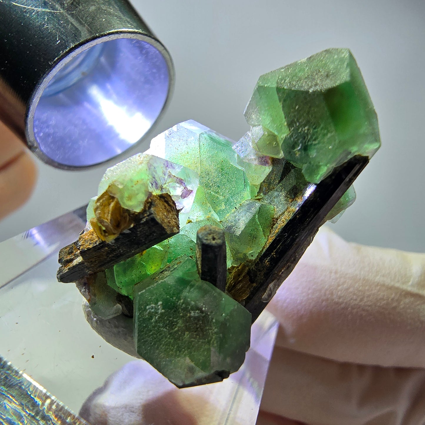 Cube hexagonal de fluorite fantôme, muscovite, tourmaline Schörl, Erongo, Namibie, 30 x 23 x 20 mm