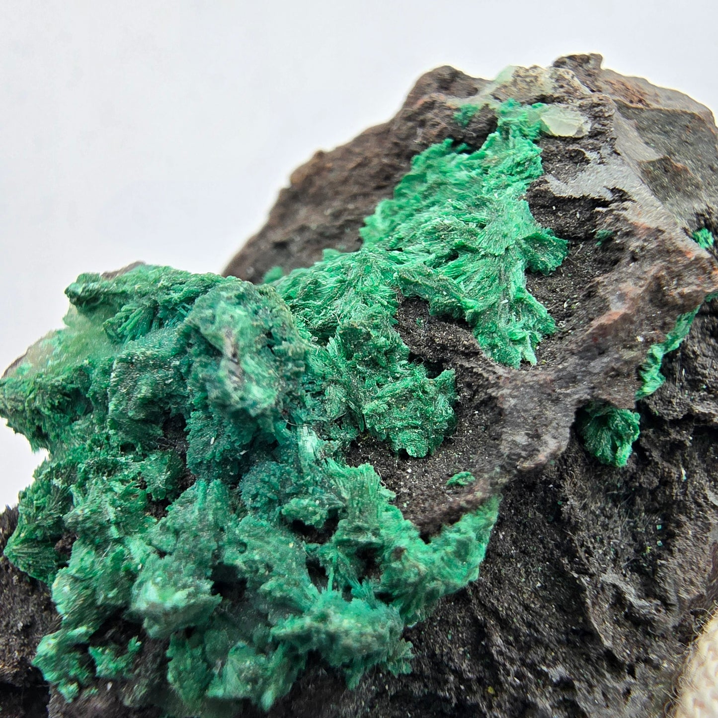 Seltene Malachit auf Matrix Stufe Kaokoveld, Namibia 52*43*22mm Sammlung