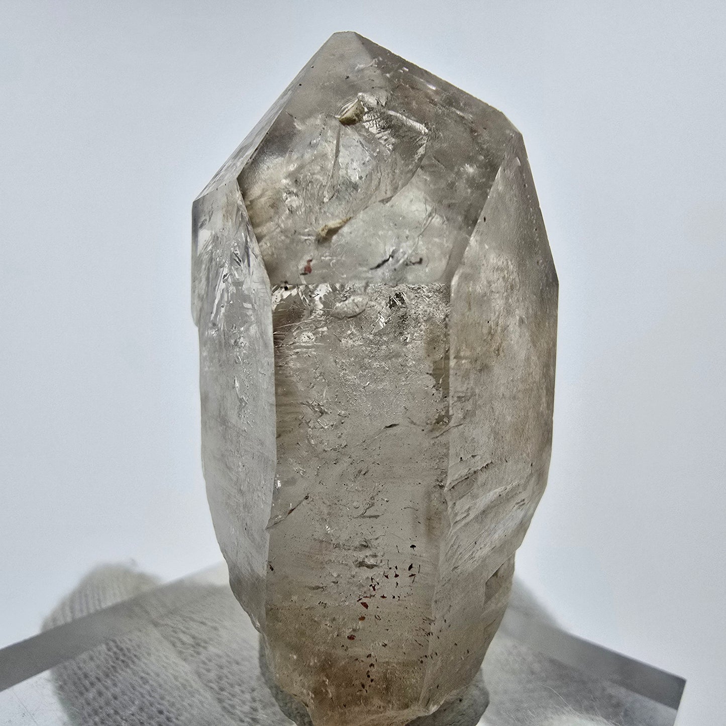 Großes Phantom Rauchquarz Zepter Goboboseb, Namibia 54*41*28mm