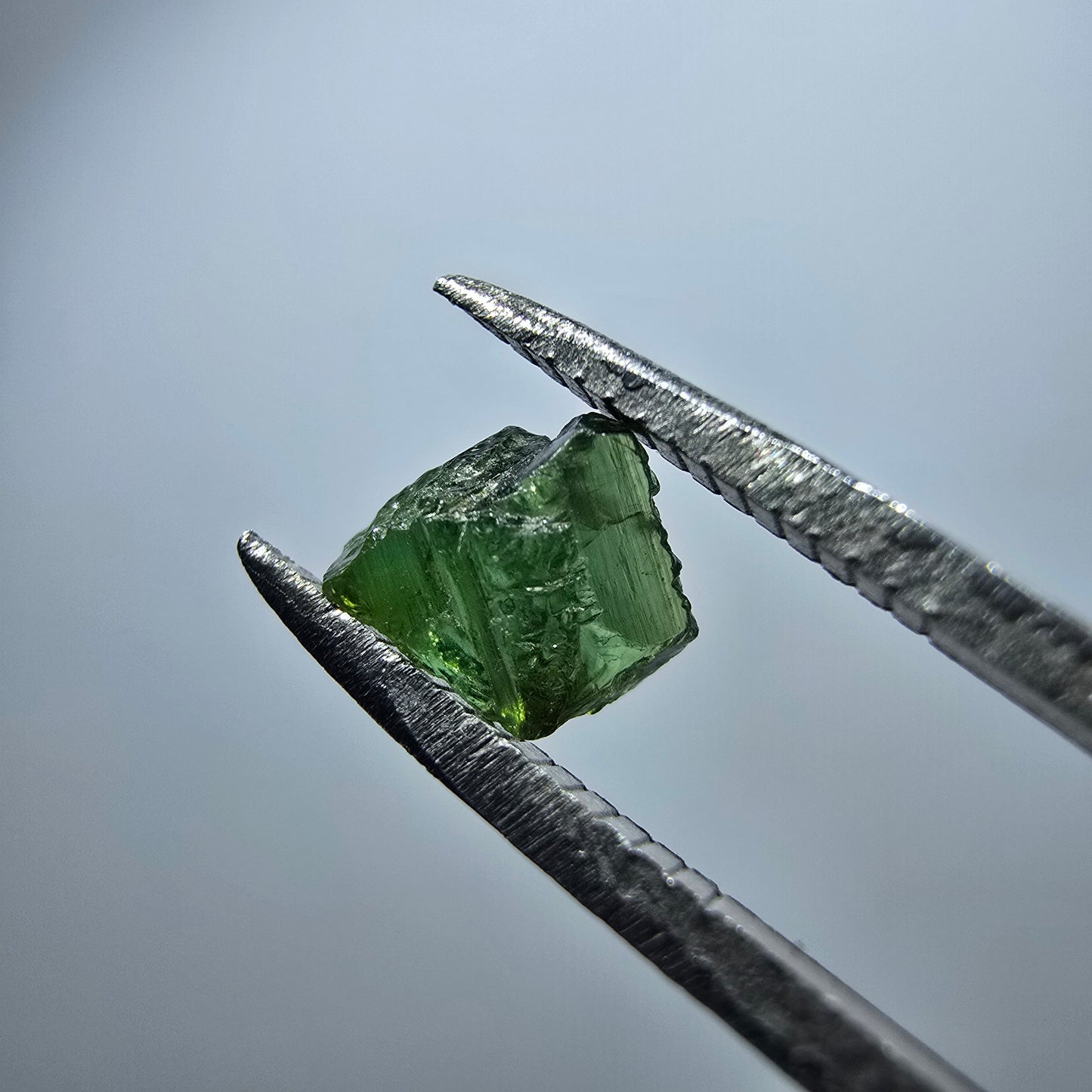 Cristal de tourmaline verdélite rare, vert Minas Gerais, Brésil #7984