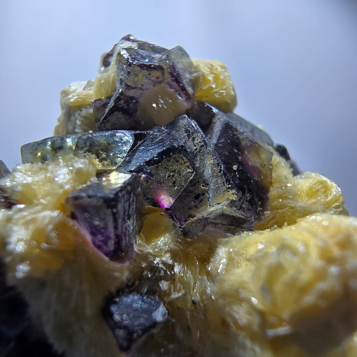 Cubes de fluorite fantôme colorés, hyalite, spécimen de muscovite, Erongo, Namibie, 42 x 39 x 28 mm