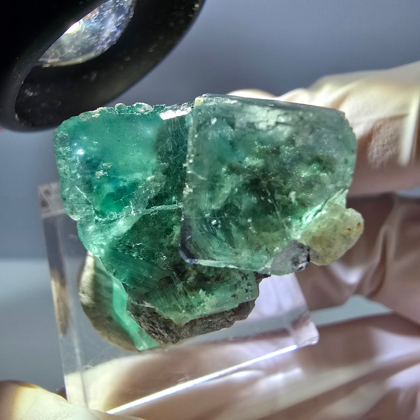 Spécimen de cube de fluorite fantôme, parquet vert Okorusu, Namibie 29 x 22 x 19 mm