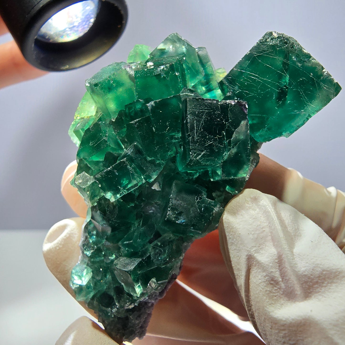 Rare spécimen de cube de fluorite fantôme, parqueté vert Okorusu, Namibie, 62 x 32 x 26 mm