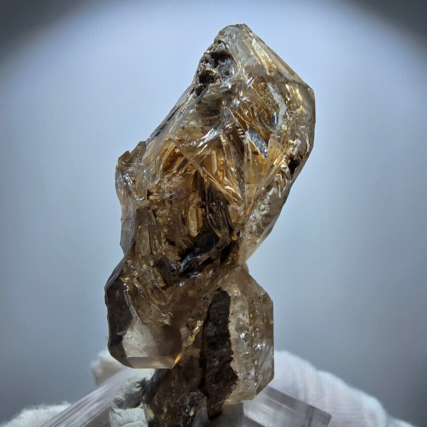 Phantom Rauchquarz Skelett Zepter Stufe Goboboseb, Namibia 49*27*24mm