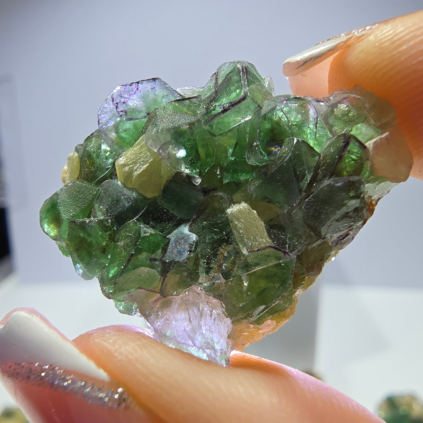 Lot de 16 fluorites fantômes, hyalites, tourmalines Schörl, muscovites, marches d'Erongo, Namibie
