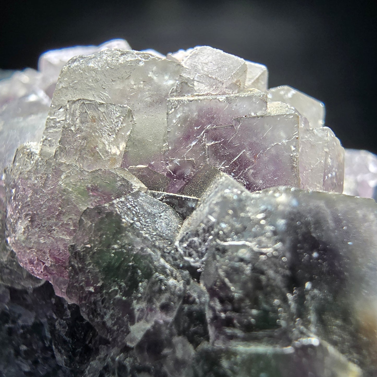 Phantom Fluorite Cube Tier Vert Violet Blanc Okorusu, Namibie 52*33*27mm Collection