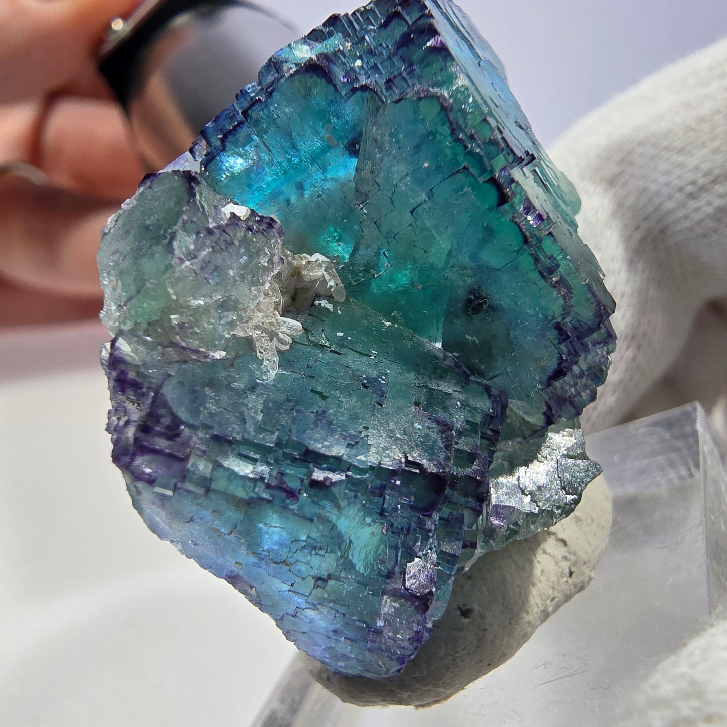 Spécimen de cube de fluorite fantôme parqueté zonal Okorusu, Namibie 39*31*19 mm