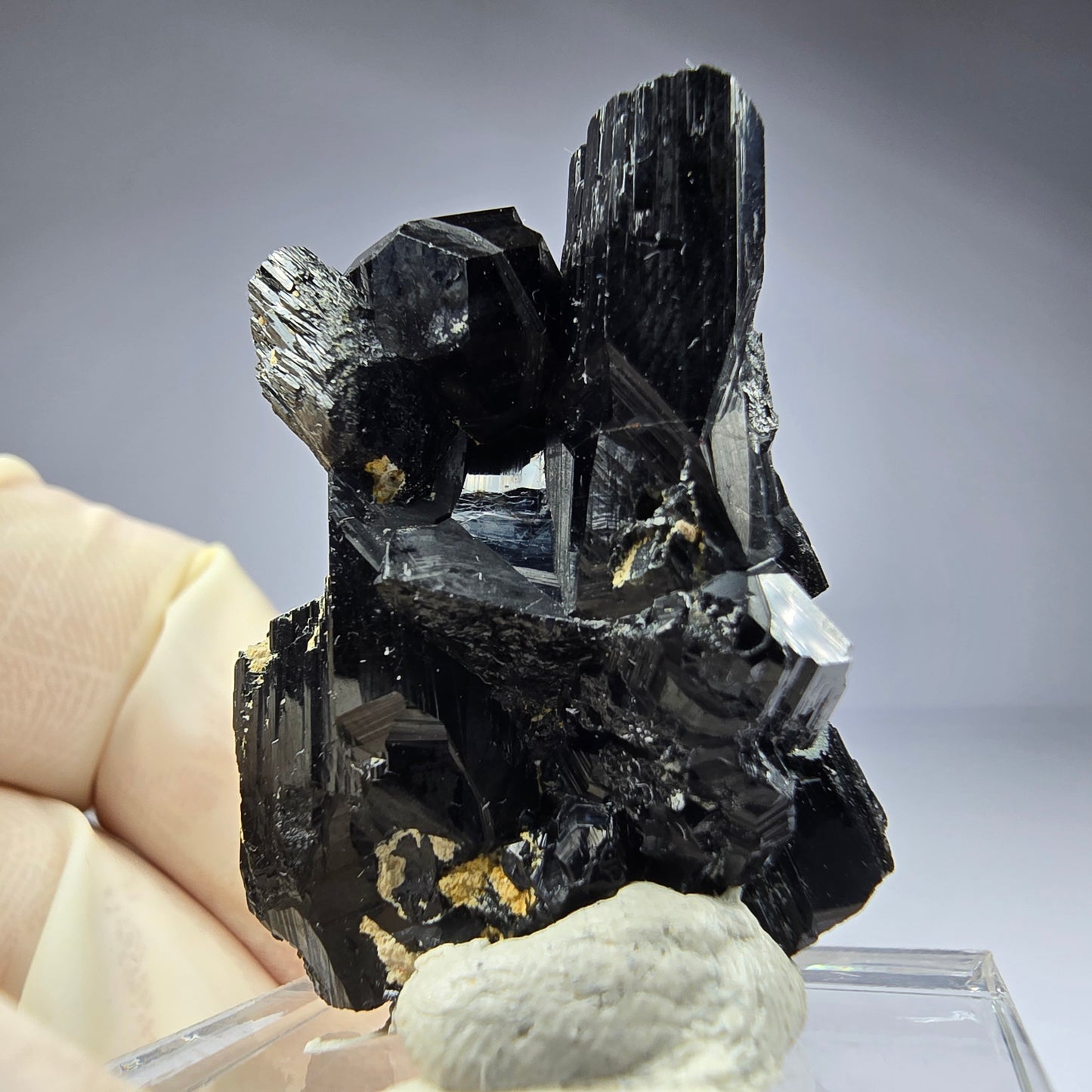Seltene Schörl Turmalin Stufe schwarz 33*25*18mm Erongo, Namibia Sammlung