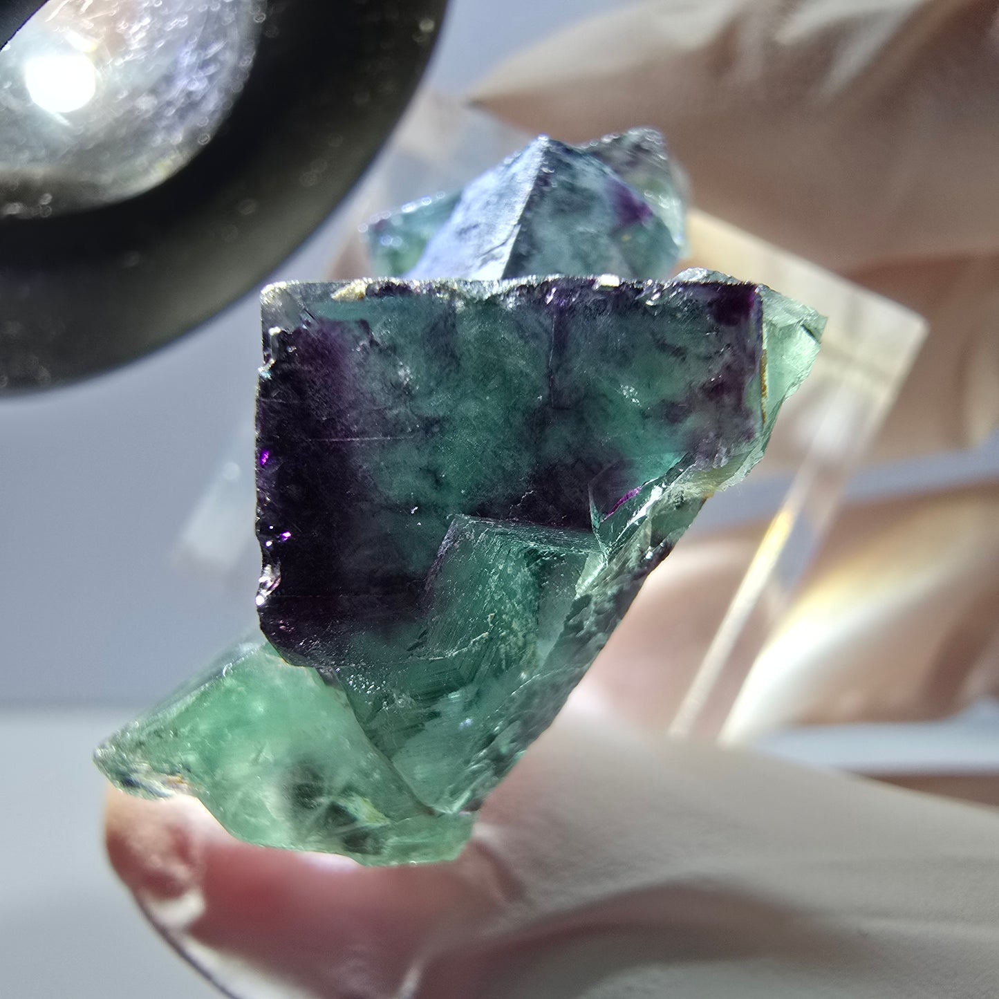 Phantom Fluorit Würfel Stufe, parkettiert grün lila Okorusu, Namibia 34*25*12mm