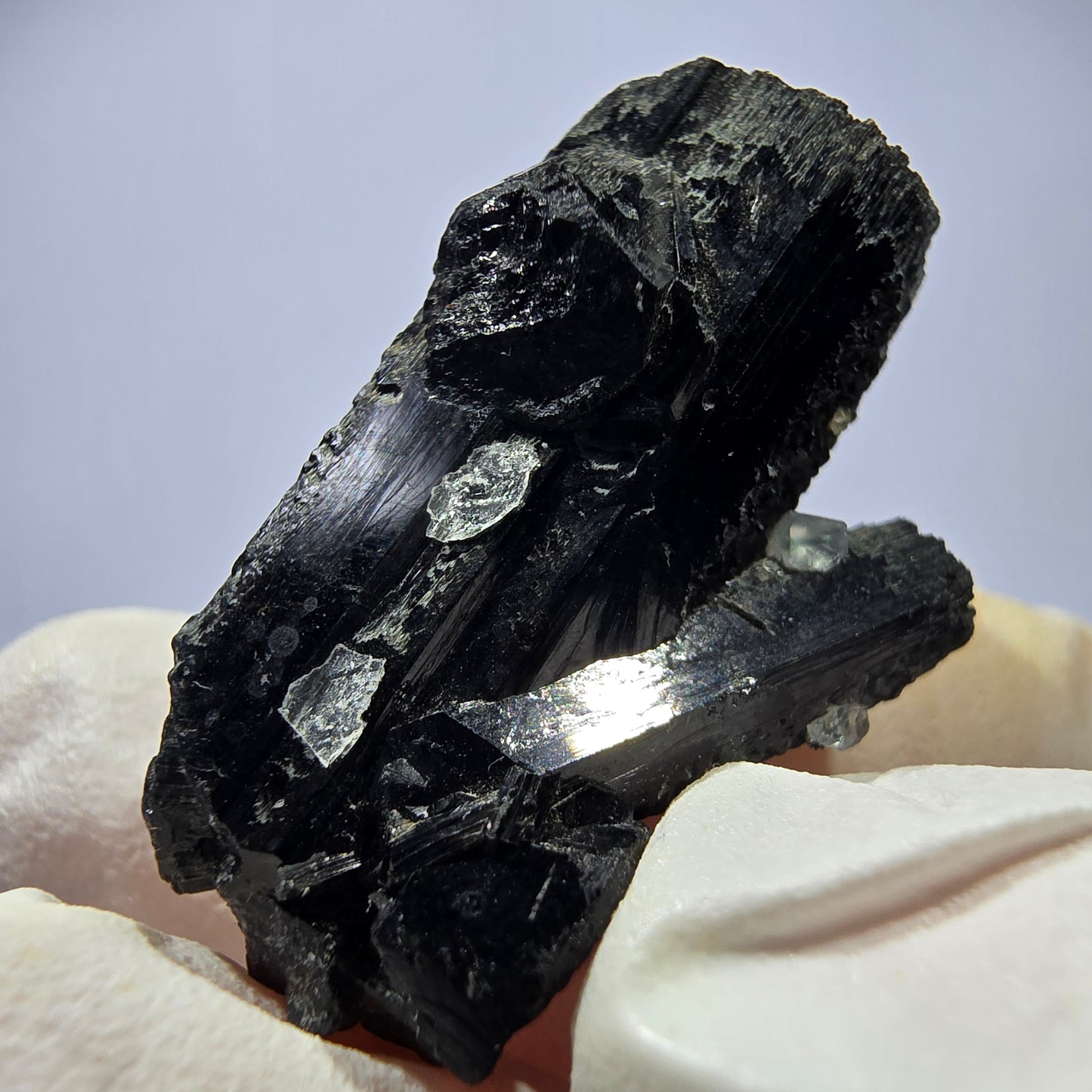 Rare spécimen de tourmaline Schorl et de fluorite cubique, Erongo, Namibie, 32 x 21 x 14 mm