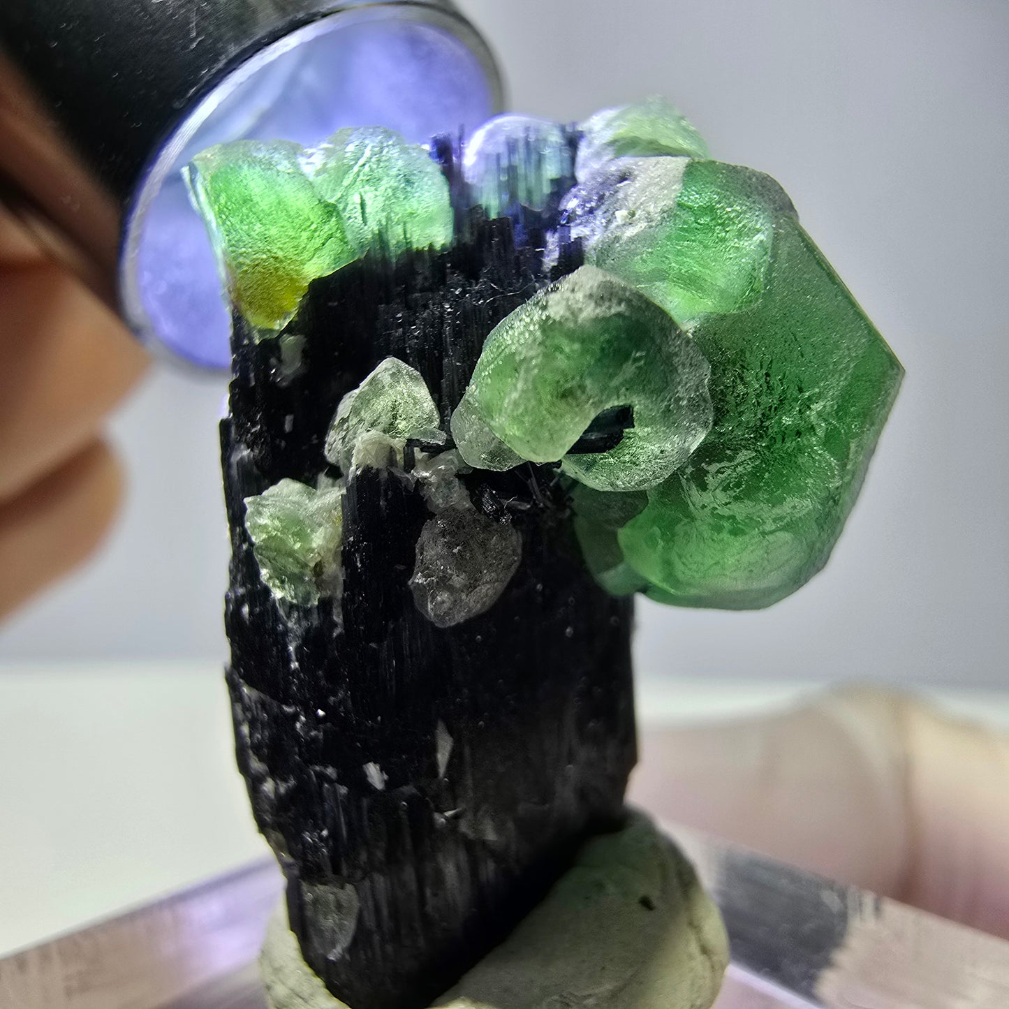 Cube de fluorite fantôme hexagonal, muscovite, tourmaline Schörl Erongo, Namibie 29*21*21mm