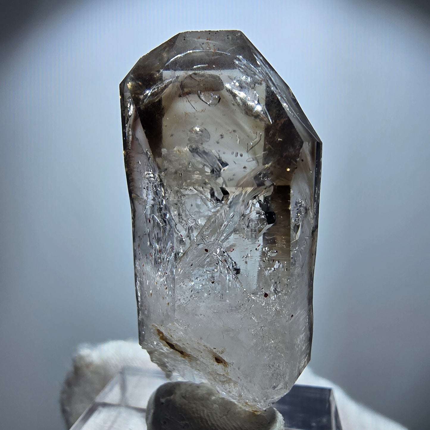 Enhydro Phantom Rauchquarz Zepter, 1x Blase Goboboseb, Namibia 41*17*14mm