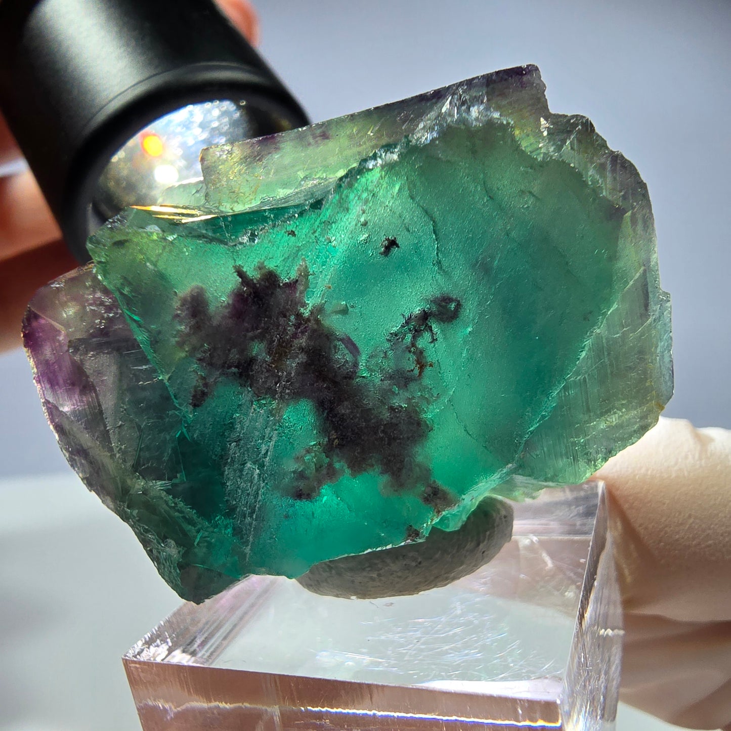 Rare cube de fluorite fantôme parqueté vert violet Okorusu Namibie 37*31*26mm