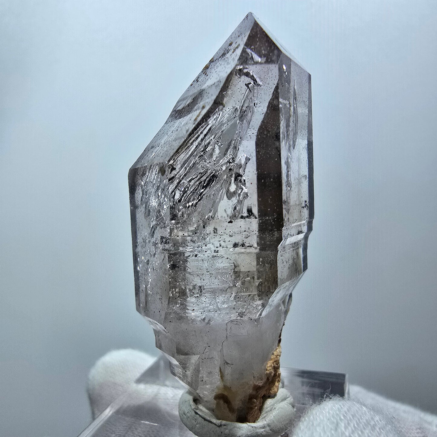 Klare Phantom Rauchquarz Fenster DT Zepter Stufe Goboboseb, Namibia 46*21*17mm