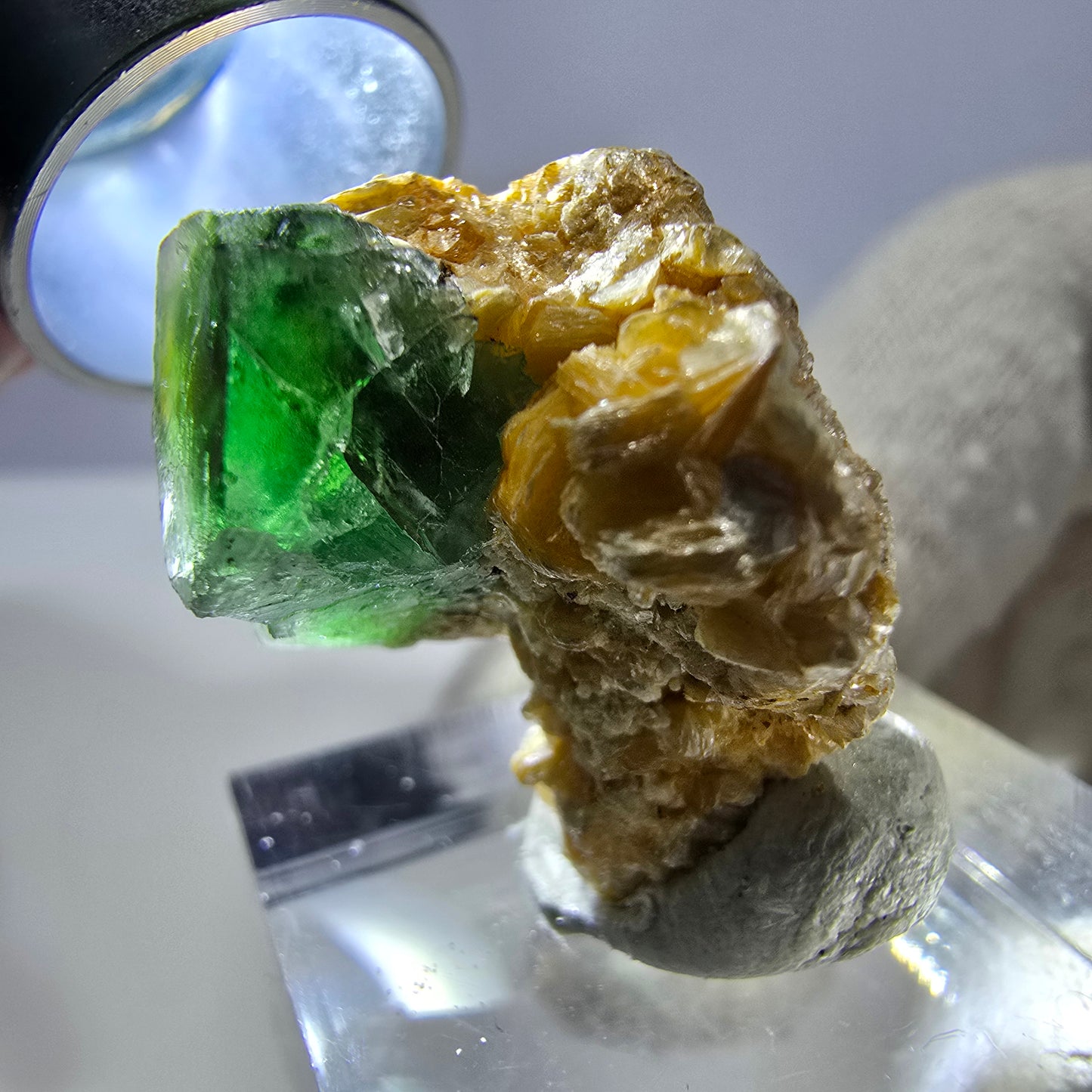 Cube de fluorite fantôme, spécimen de muscovite, Erongo, Namibie, 24 x 20 x 17 mm