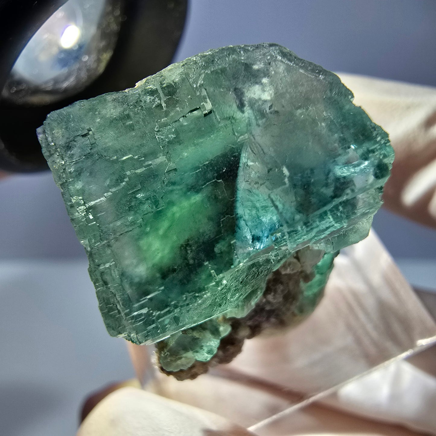 Cube de fluorite fantôme transparente parquetée, vert Okorusu, Namibie 25 x 19 x 15 mm