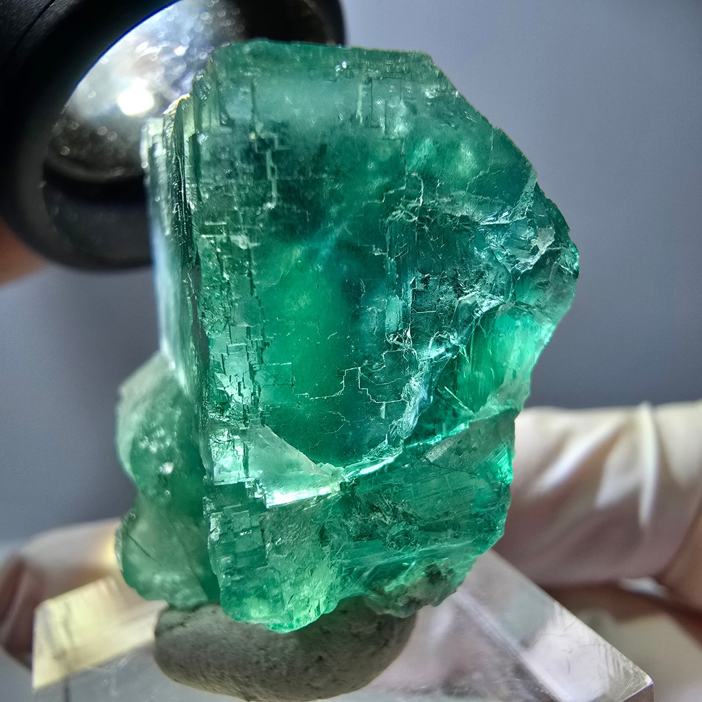 Rare spécimen de cube de fluorite fantôme, vert Okorusu, Namibie 34 x 29 x 21 mm