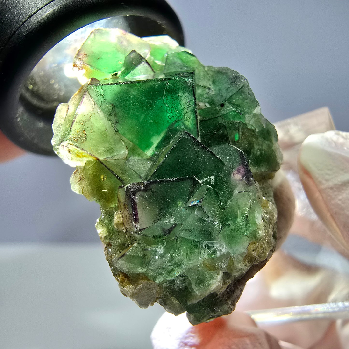 Cube de fluorite fantôme, zonal, muscovite, spécimen de calcite UV, Erongo, Namibie, 31 x 31 x 19 mm