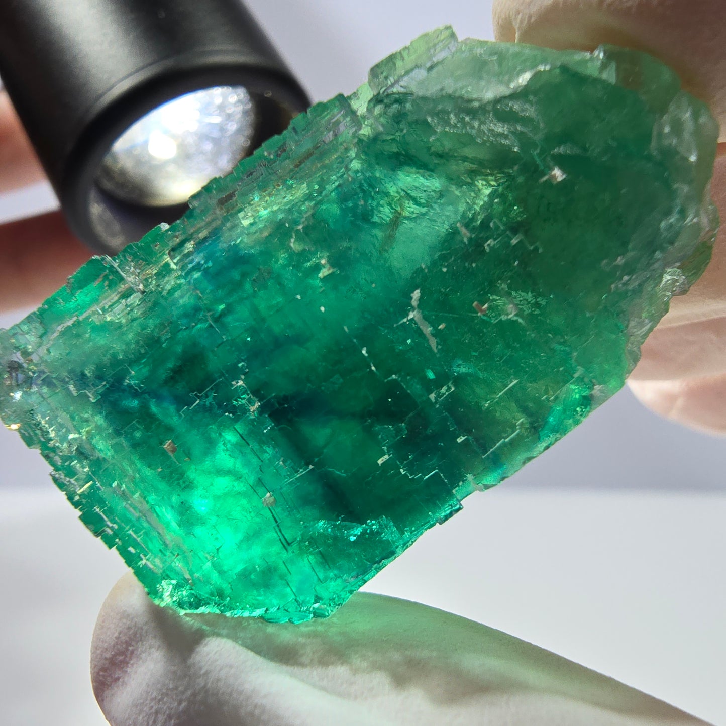 Spécimen de cube de fluorite fantôme transparente, vert parqueté, Okorusu, Namibie, 50 x 30 x 22 mm