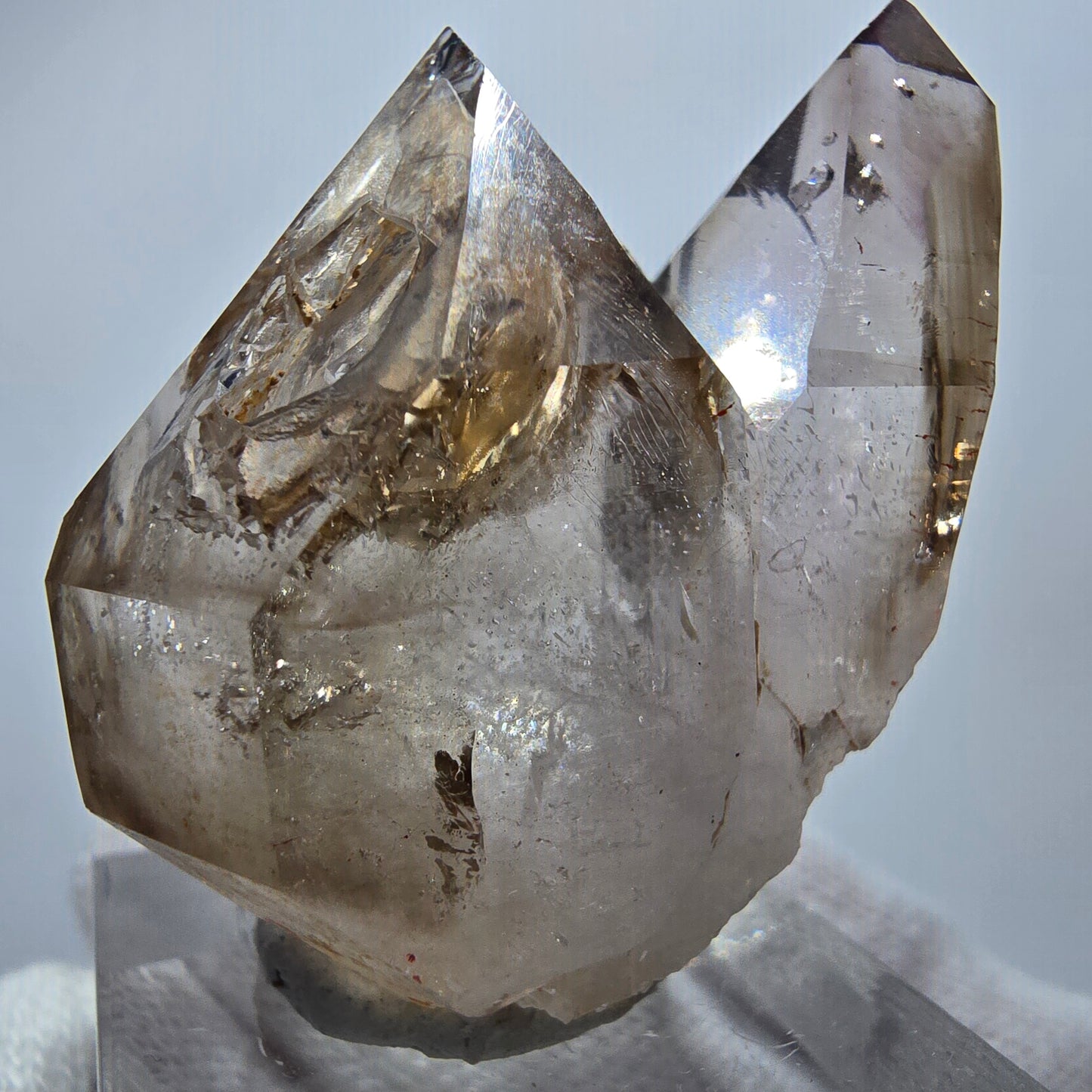 Amas de sceptres en quartz fumé fantôme transparent, Goboboseb, Namibie, 40 x 34 x 23 mm