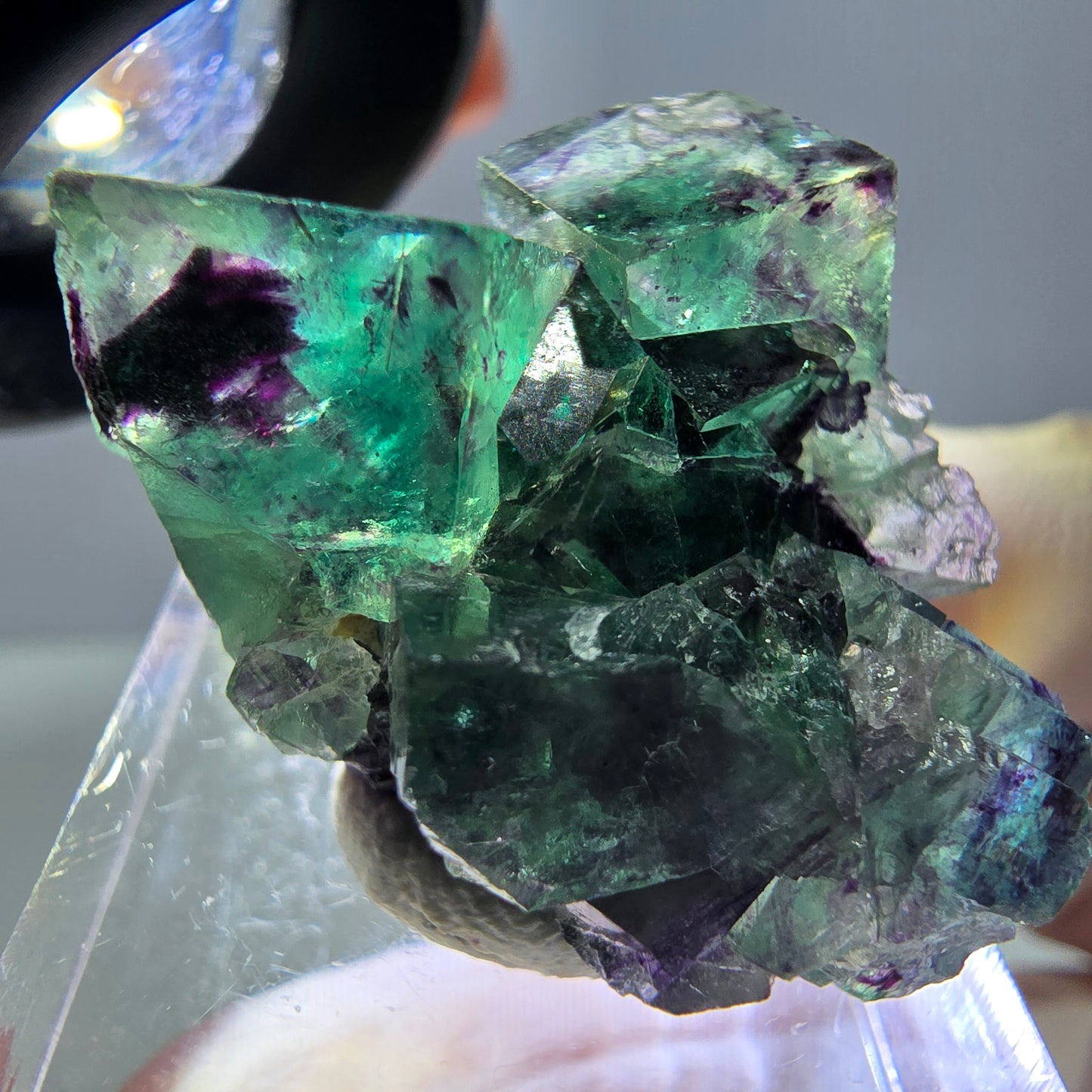 Phantom Fluorit Würfel Stufe, parkettiert grün lila Okorusu, Namibia 31*25*14mm
