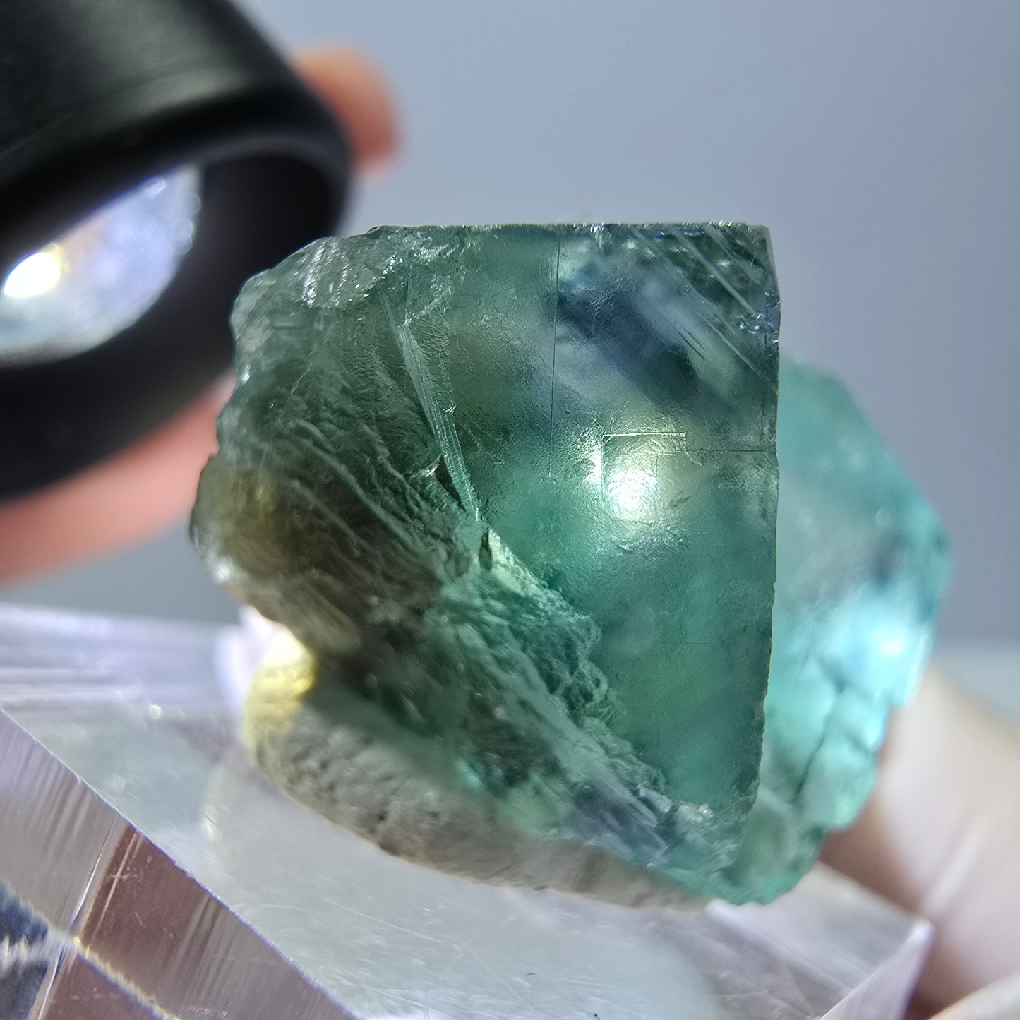 Phantom Fluorit Würfel Stufe, grün parkettiert Okorusu, Namibia 27*24*18mm