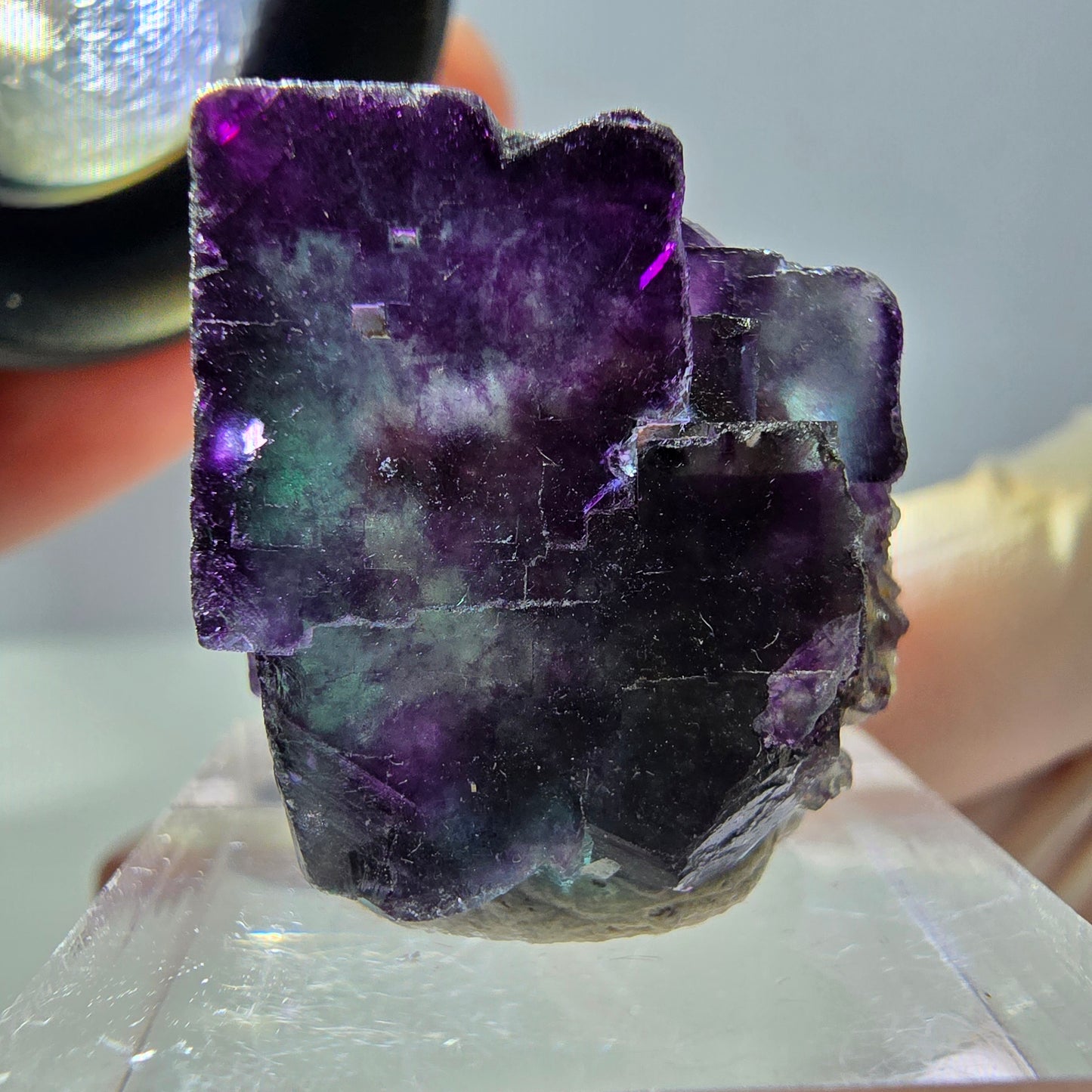 Phantom Fluorit Würfel Stufe, parkettiert grün lila Okorusu, Namibia 23*22*18mm