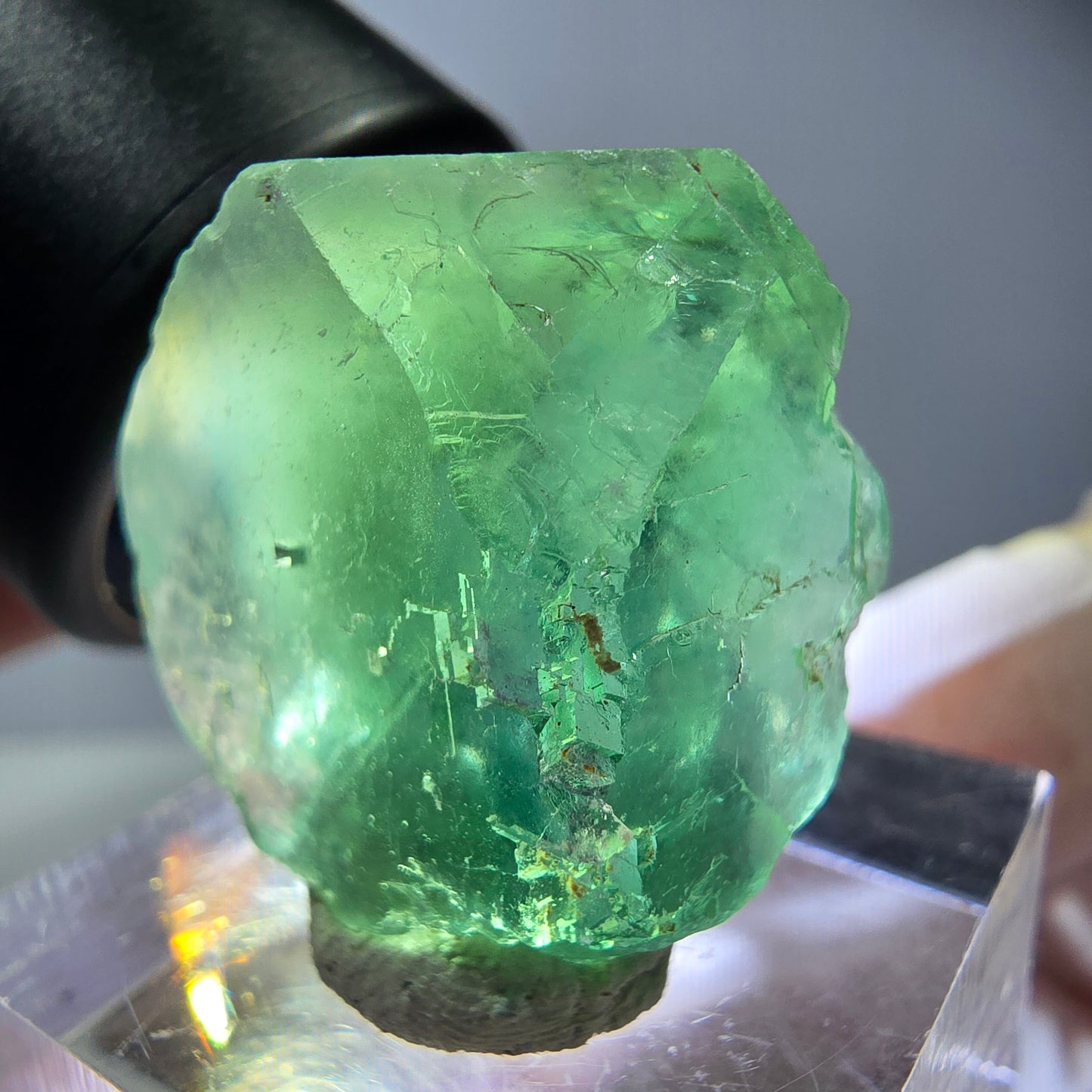 Cube de fluorite fantôme transparente parquetée, vert Okorusu, Namibie 23 x 23 x 17 mm