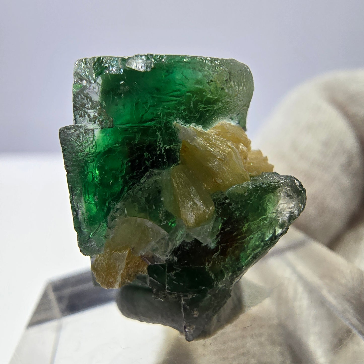 Cube de fluorite fantôme, spécimen de muscovite, Erongo, Namibie, 20 x 16 x 15 mm