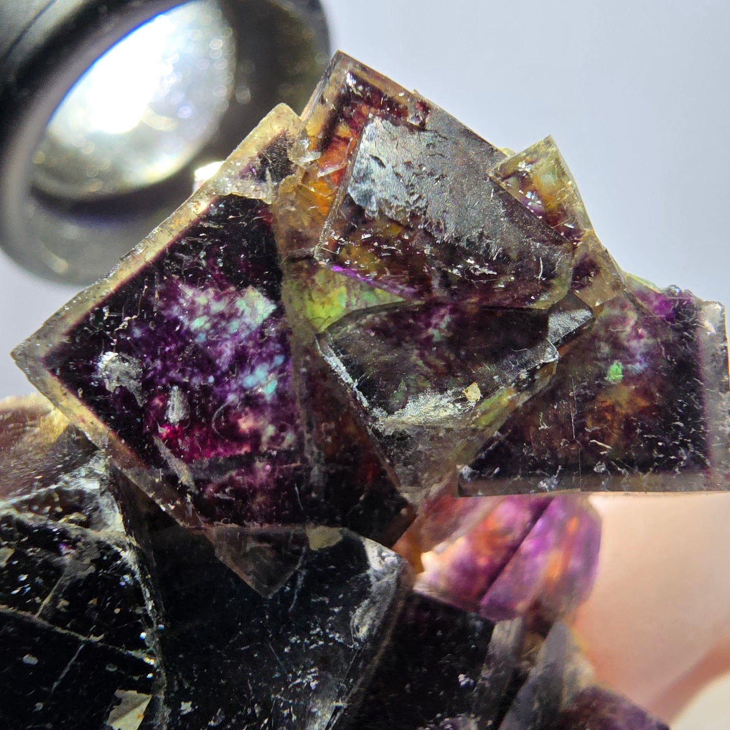 Rare spécimen de cube de fluorite fantôme, vert violet jaune Okorusu, Namibie 48 x 39 x 14 mm