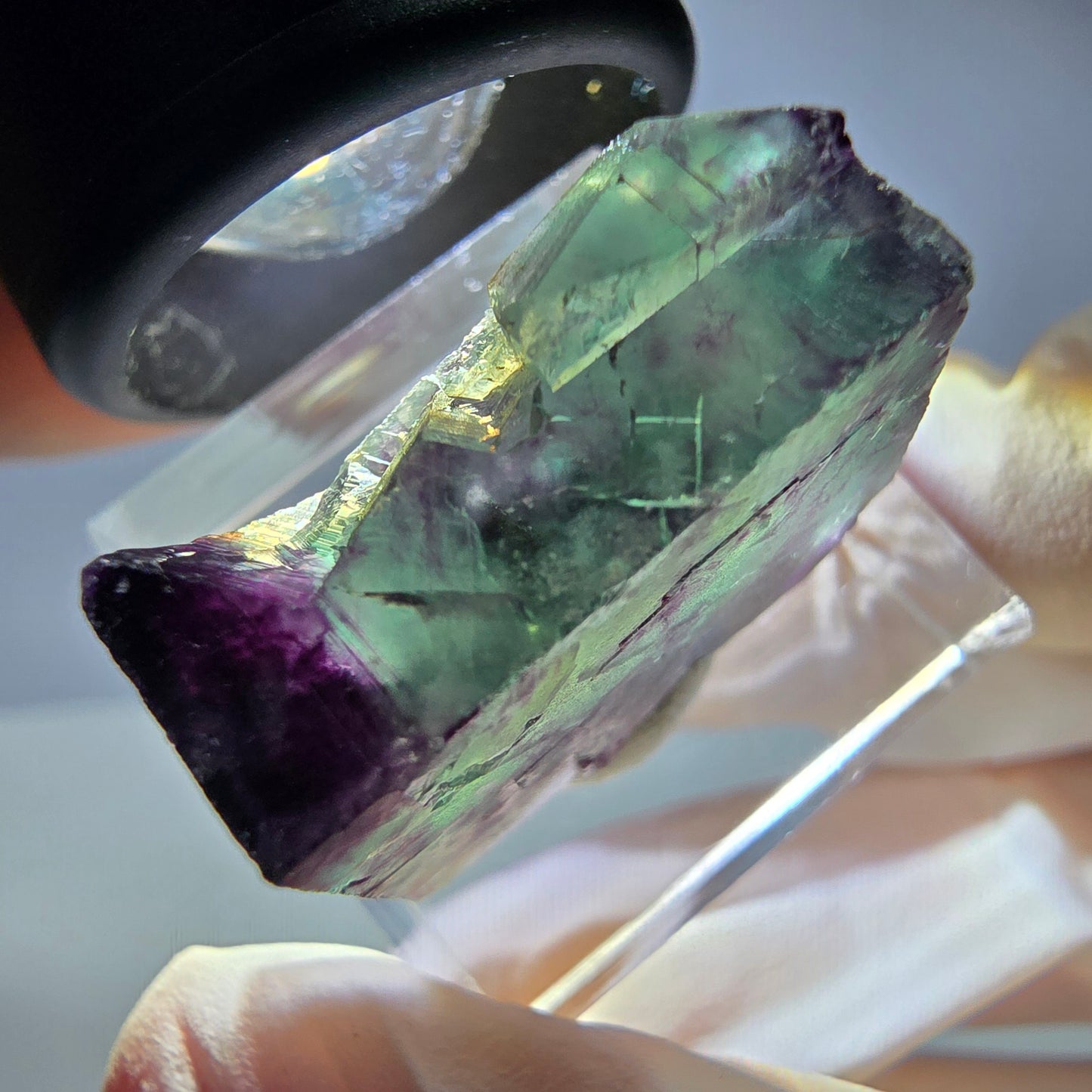 Rare cube de fluorite fantôme parqueté vert violet Okorusu Namibie 24*20*10mm