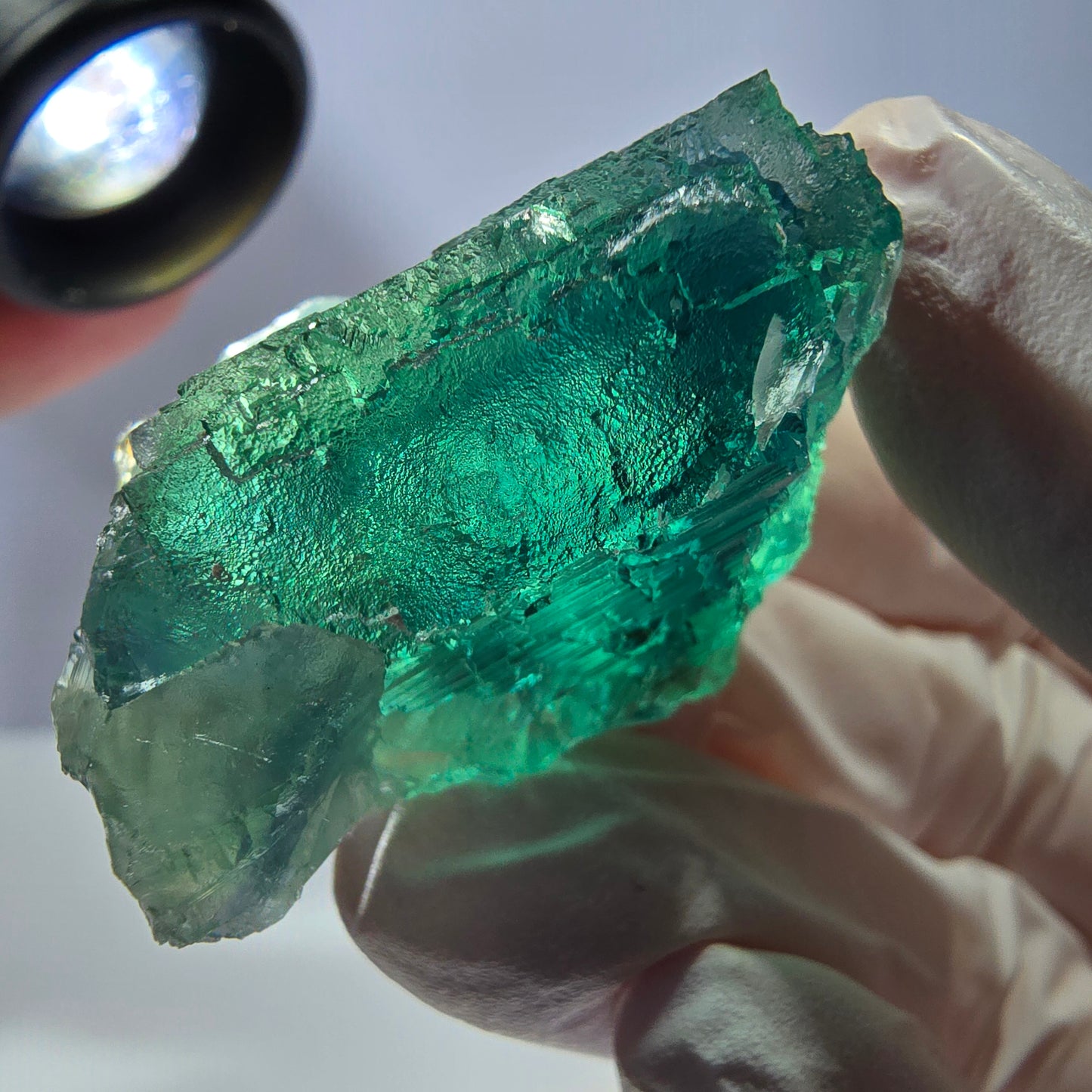 Spécimen de cube de fluorite fantôme transparente, vert parqueté, Okorusu, Namibie, 48 x 29 x 27 mm