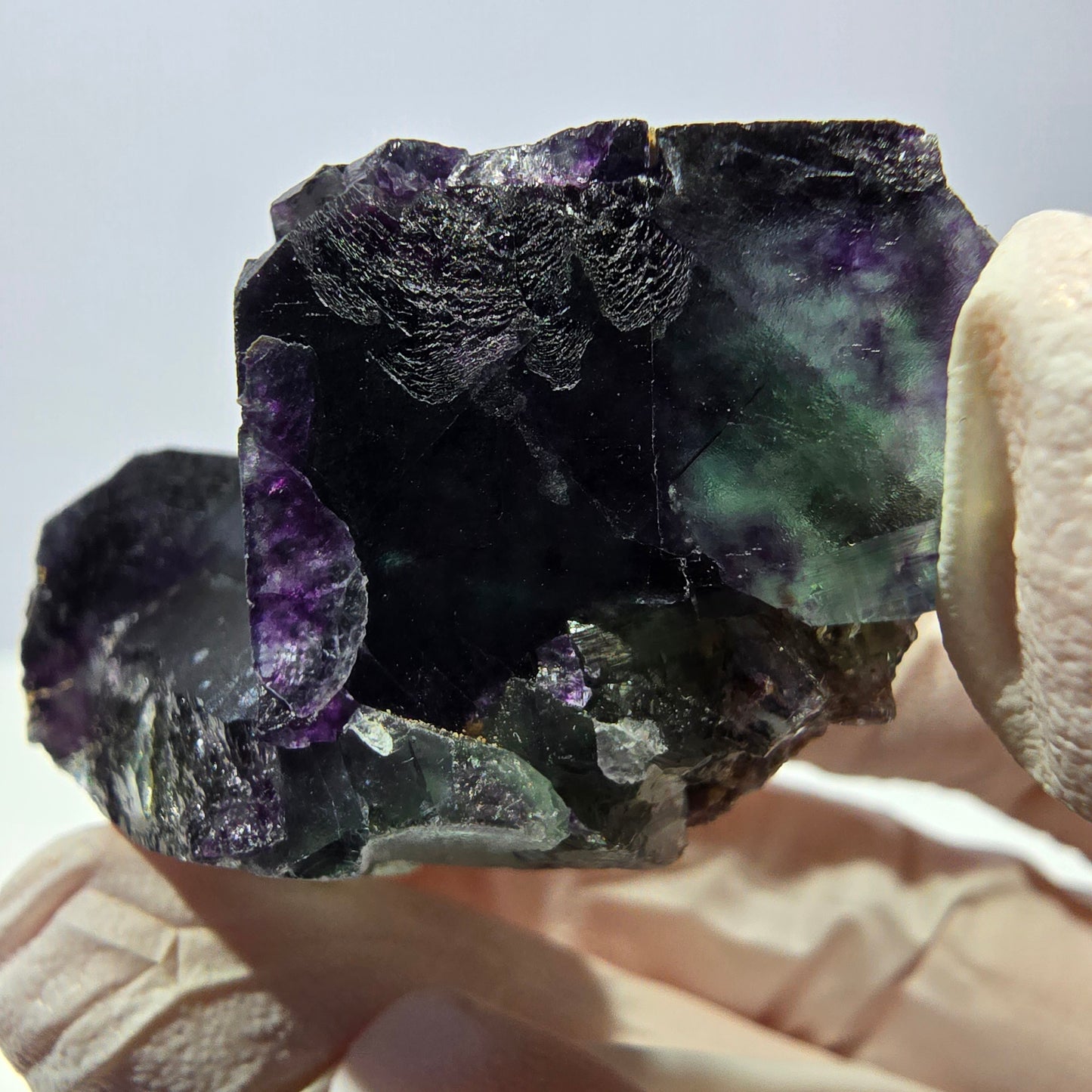 Spécimen de cube de fluorite fantôme, parqueté vert violet Okorusu, Namibie 46*34*25 mm