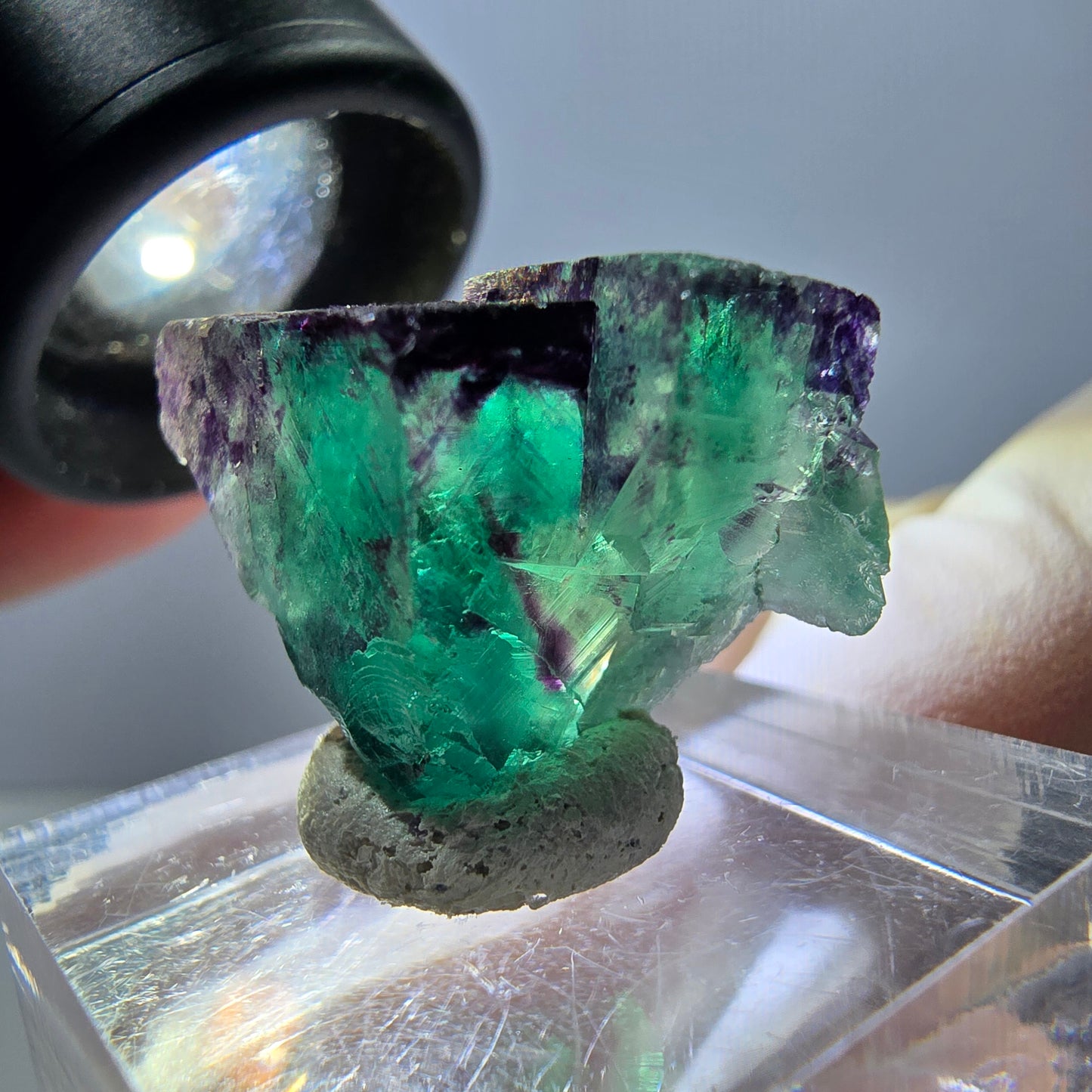 Spécimen de cube de fluorite fantôme, parqueté vert violet Okorusu, Namibie 25*18*14 mm