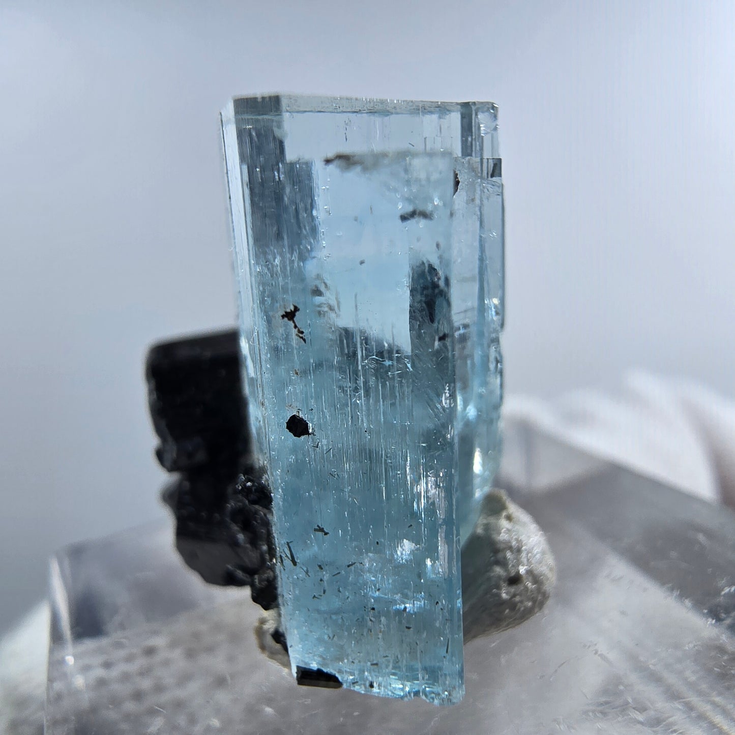 Aigue-marine Setlene, tourmaline Schörl stade Erongo, Namibie 19*21*14mm