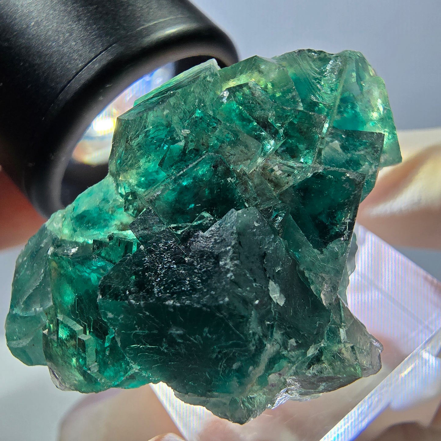 Spécimen de cube de fluorite fantôme, parquet vert Okorusu, Namibie 41 x 26 x 21 mm