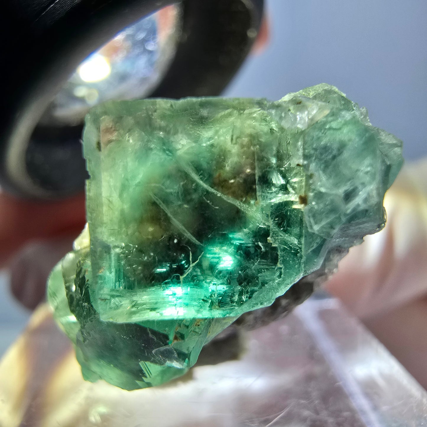 Seltene Phantom Fluorit Würfel Stufe, grün Okorusu, Namibia 25*14*12mm