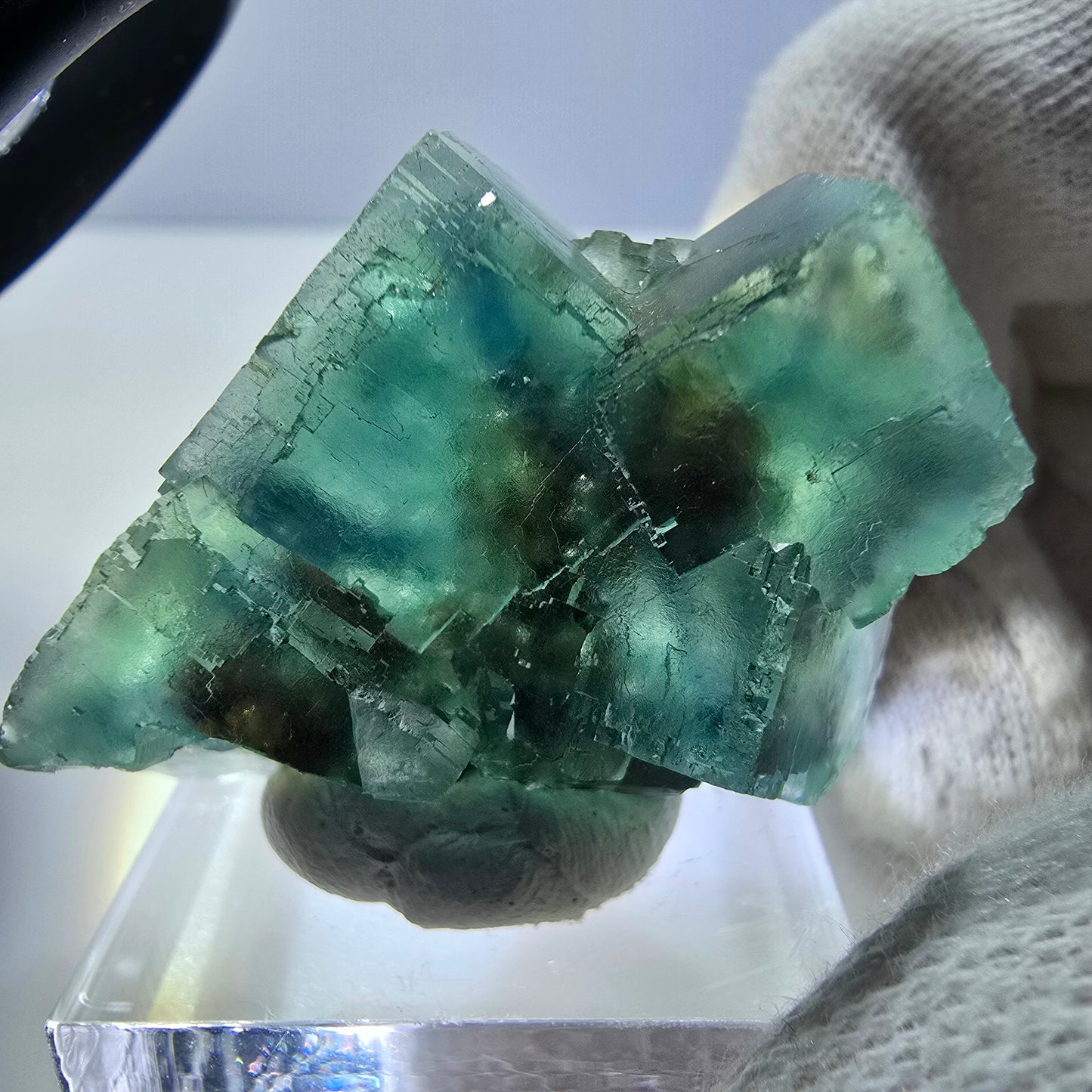 Phantom Fluorite cube specimen parquetted green turquoise Okorusu, Namibia 39*28*21mm