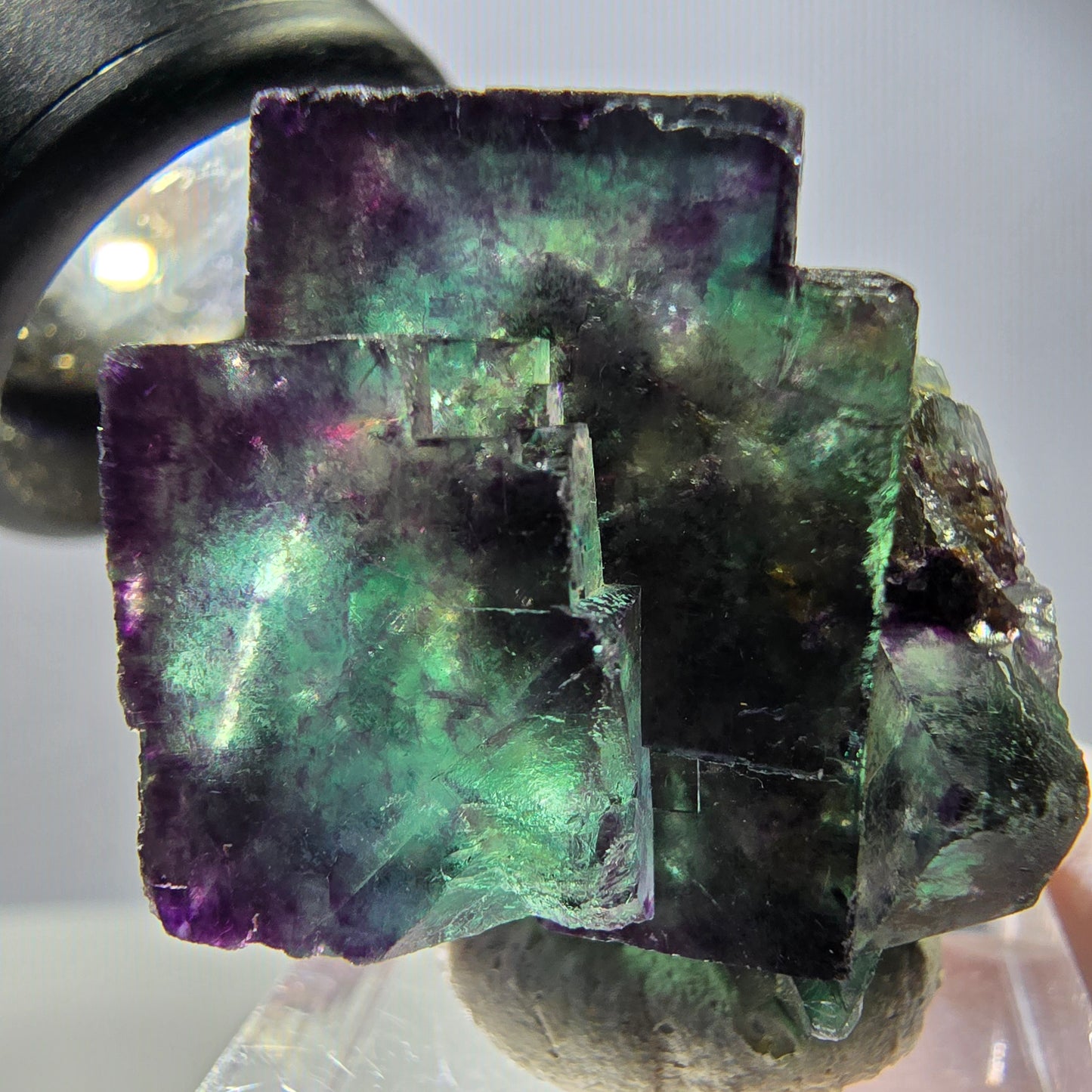 Spécimen rare de cube de fluorite, vert violet, Okorusu, Namibie, 29 x 25 x 21 mm