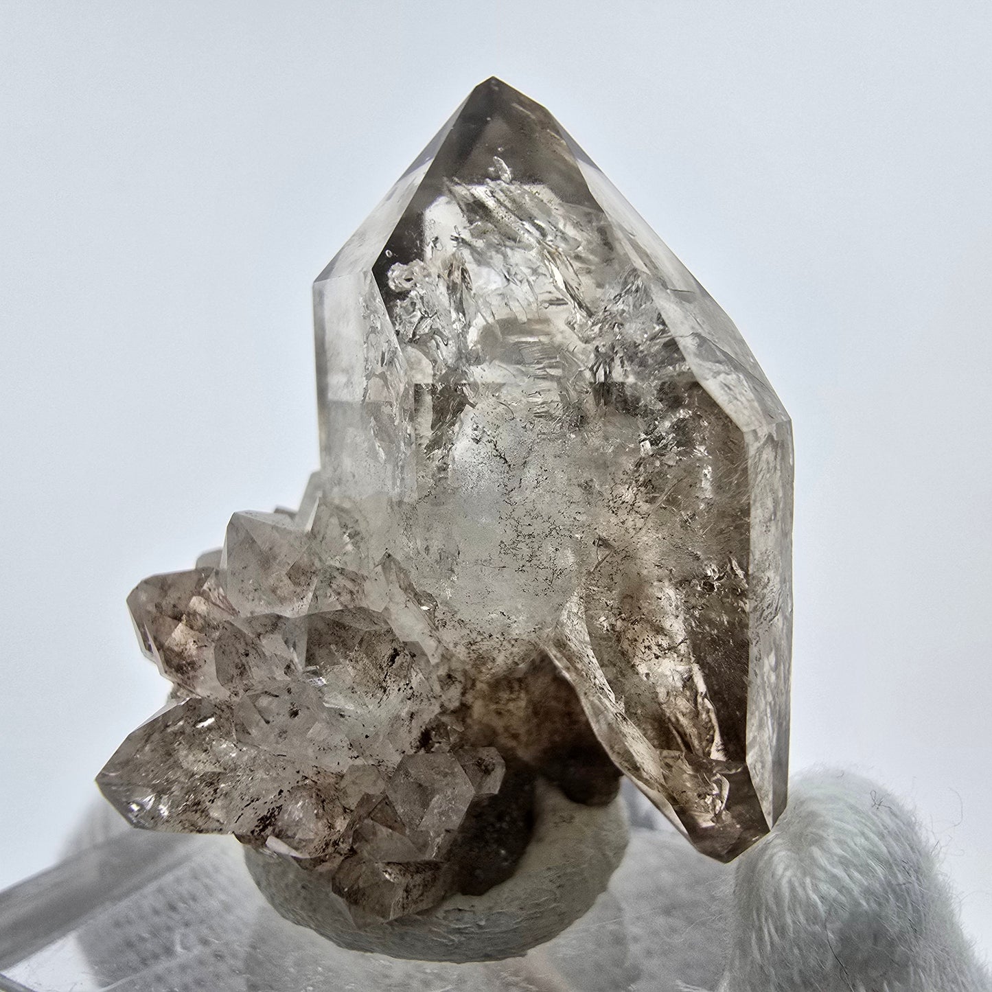 Phantom Rauchquarz DT Zepter Stufe Goboboseb, Namibia 31*27*24mm