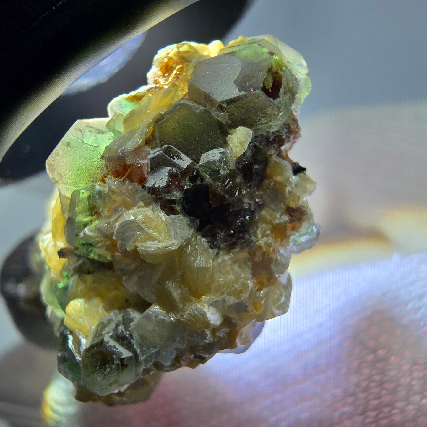 Cube de fluorite fantôme zonal, tourmaline muscovite Schörl hyalite Erongo, Namibie 39 x 24 x 12 mm