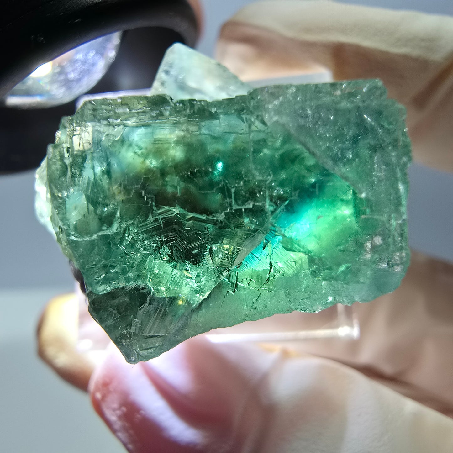 Phantom Fluorit Würfel Stufe, grün parkettiert Okorusu, Namibia 27*24*20mm