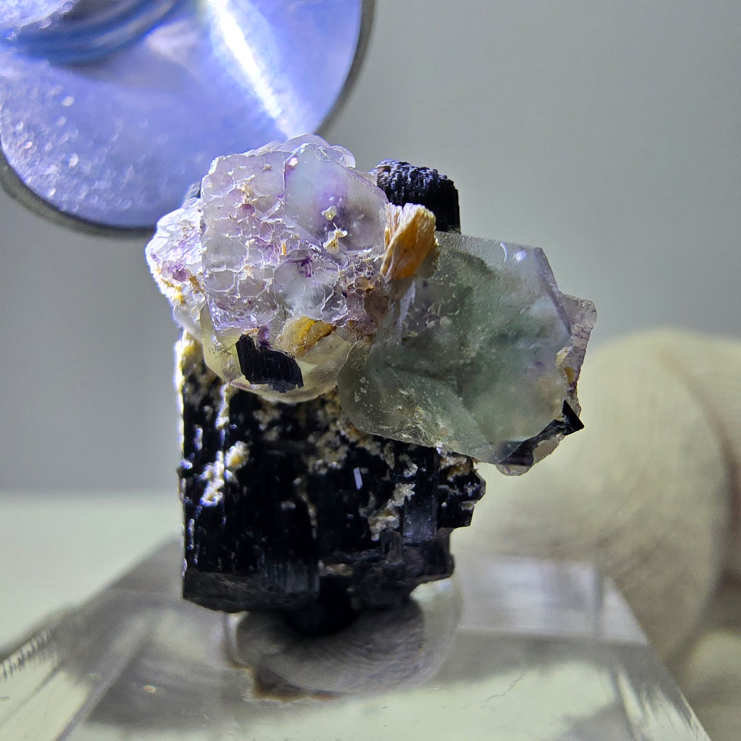 Spécimen de tourmaline Schorl hexagonale en fluorite fantôme, Erongo, Namibie, 21 x 17 x 12 mm
