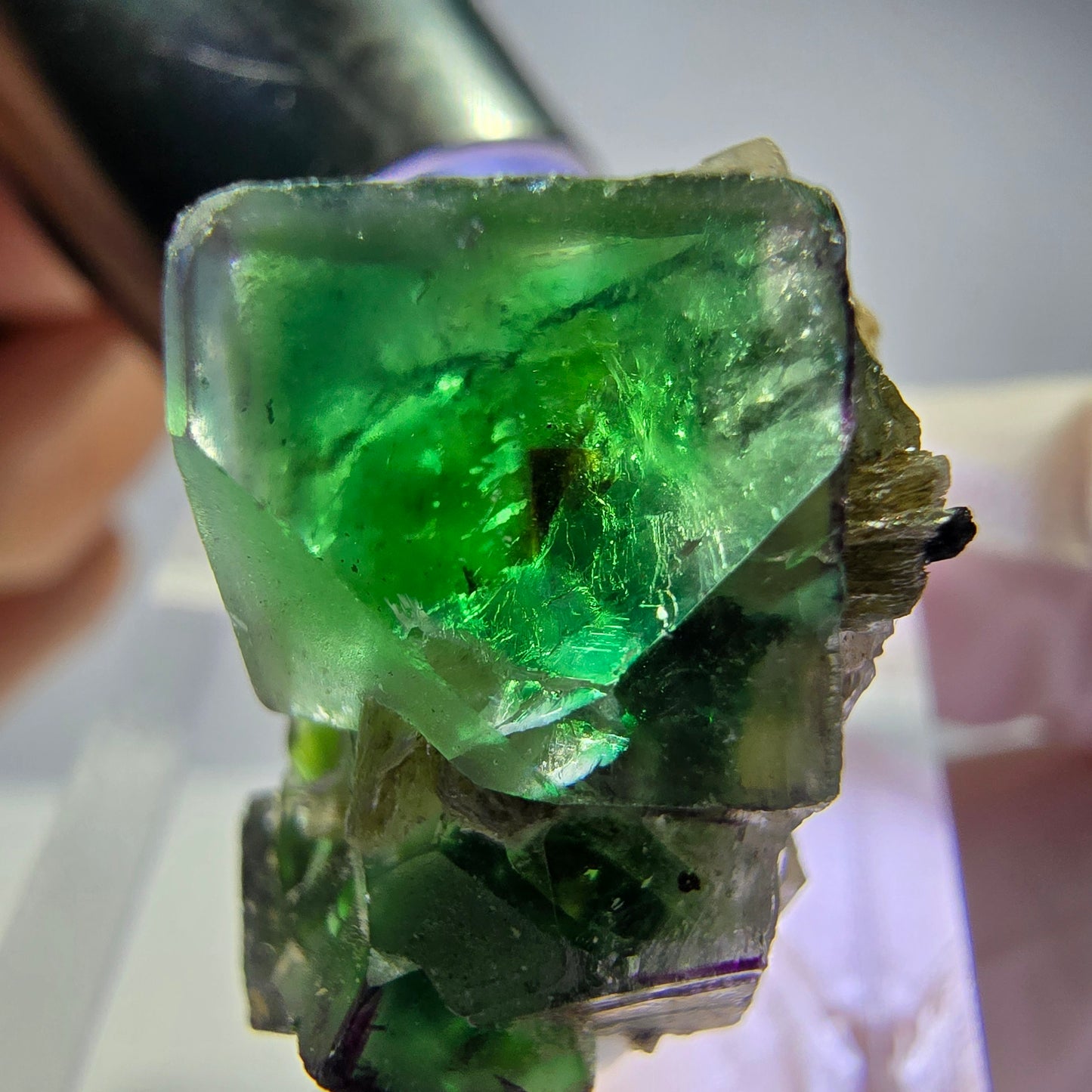 Fluorite fantôme, quartz fumé, hyalite, tourmaline Schörl, muscovite, Erongo, Namibie, 24 x 15 x 16 mm