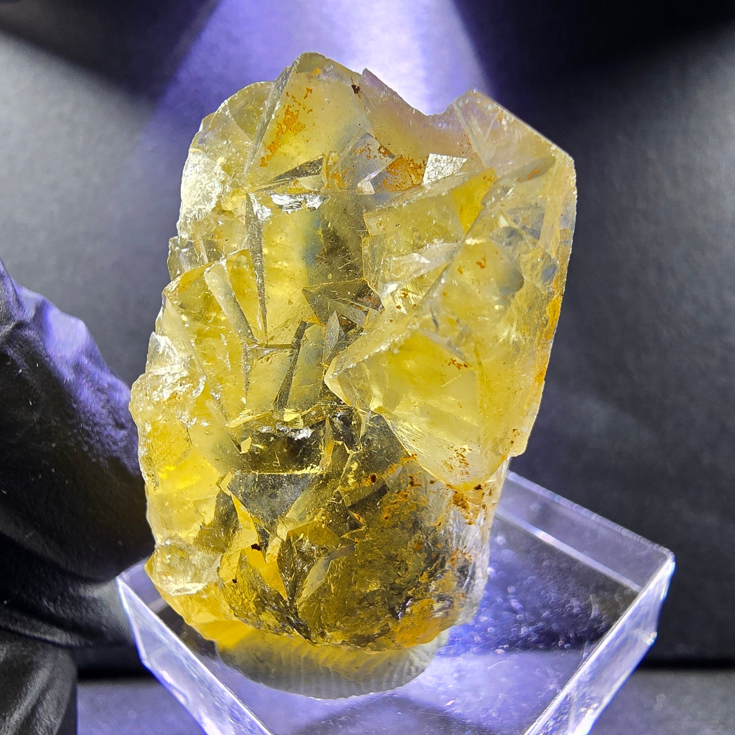 Seltene Honey Pocket Phantom Fluorit XX Würfel Stufe 35*26*14mm Okorusu, Namibia