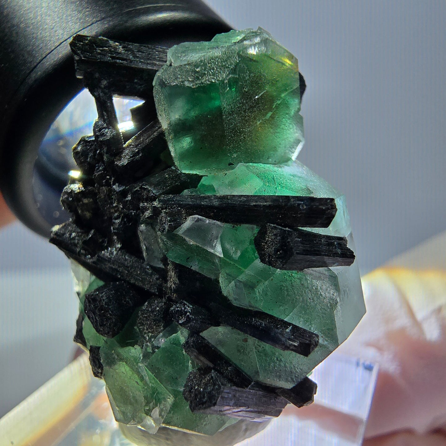 Cube hexagonal de fluorite fantôme, spécimen de tourmaline Schorl, Erongo, Namibie, 30 x 25 x 13 mm