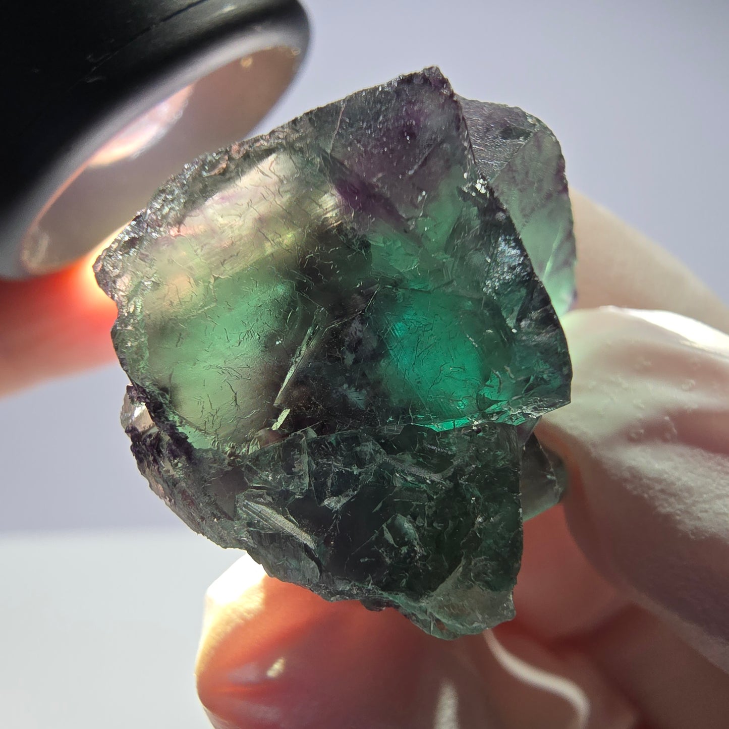 Spécimen de cube de fluorite fantôme parqueté vert violet Okorusu, Namibie 28*24*18mm