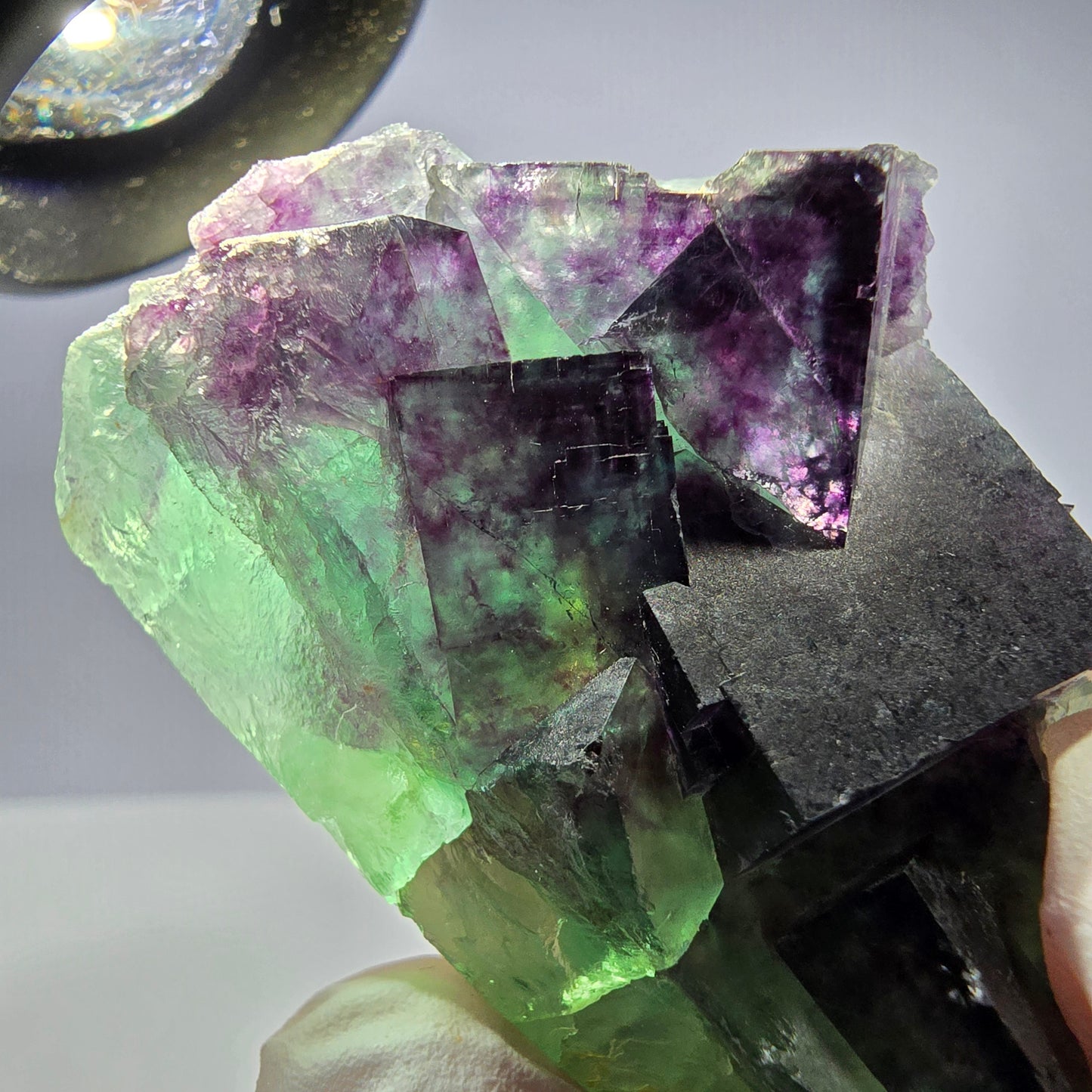 Spécimen de cube de fluorite fantôme parqueté vert violet Okorusu, Namibie 48*26*26mm
