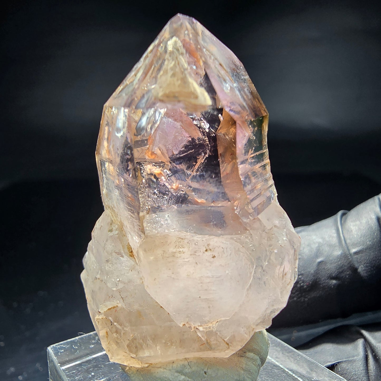 Klare Phantom Amethyst Fenster Zepter Spitze Goboboseb Namibia 40*29*20mm